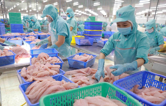 2023年前4个月越南农林水产品出口下降超13% ảnh 2 2023年前4个月越南农林水产品出口下降超13% ảnh 2