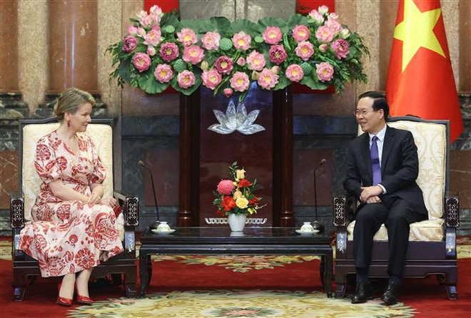 国家主席武文赏会见比利时王后兼比利时联合国儿童基金会名誉主席 ảnh 1 国家主席武文赏会见比利时王后兼比利时联合国儿童基金会名誉主席 ảnh 1
