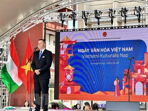 越南文化日在匈牙利热闹举行 ảnh 2