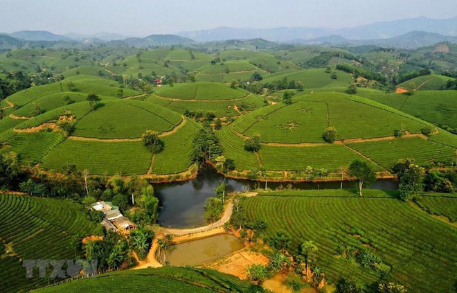 “越南农业旅游房地产投资促进”座谈会即将举行 ảnh 1