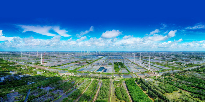 越南积极促进循环农业的发展 ảnh 1 越南积极促进循环农业的发展 ảnh 1