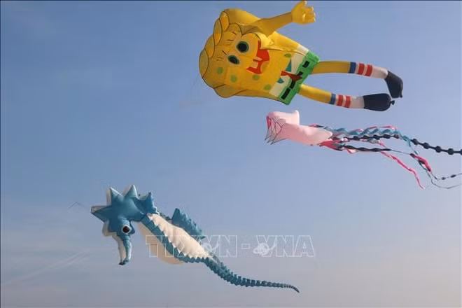 平顺省藩切市热闹非凡的海滩风筝节 ảnh 1