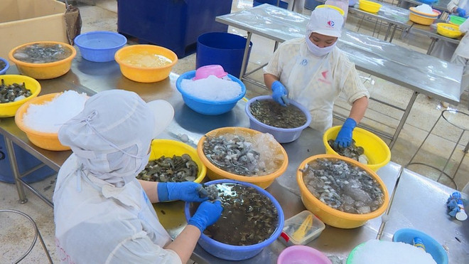 金瓯省多措并举开展纾困助企工作 ảnh 1