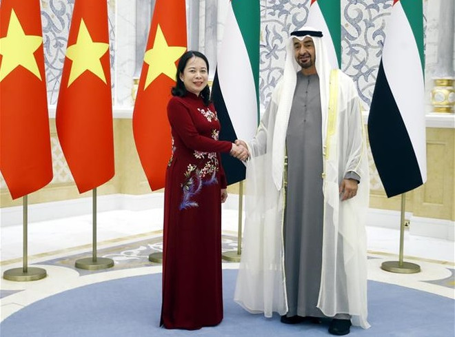 越南国家副主席武氏映春会见阿联酋总统穆罕默德·本·扎耶德·阿勒纳哈扬 ảnh 2 越南国家副主席武氏映春会见阿联酋总统穆罕默德·本·扎耶德·阿勒纳哈扬 ảnh 2