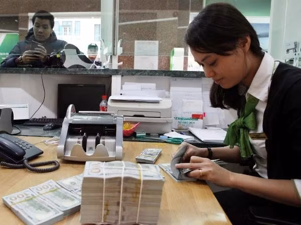 5日越盾兑美元中心汇上涨8越盾 ảnh 1