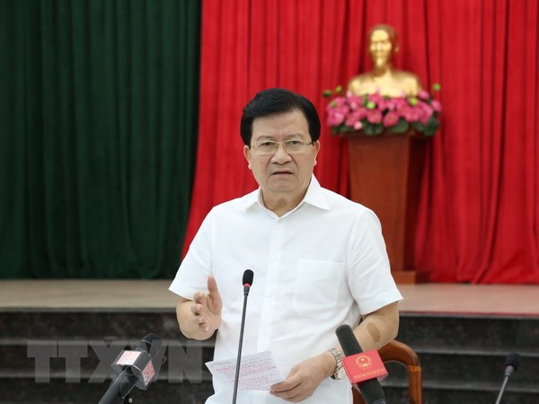 越南政府副总理郑廷勇再获新职 ảnh 1