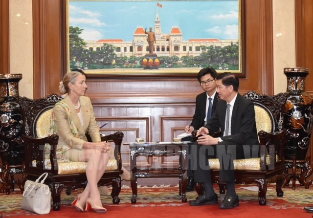 英国希望加大对胡志明市的投资力度 ảnh 1