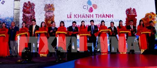 韩国企业赴越南河南省寻找投资商机 ảnh 1