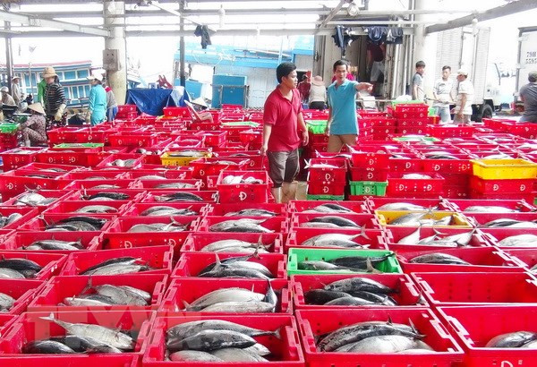 中国可成为越南最大水产品进口国 ảnh 2