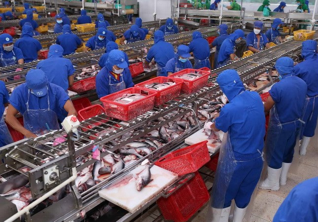 2018年上半年水产品出口猛增12.3% ảnh 2 2018年上半年水产品出口猛增12.3% ảnh 2