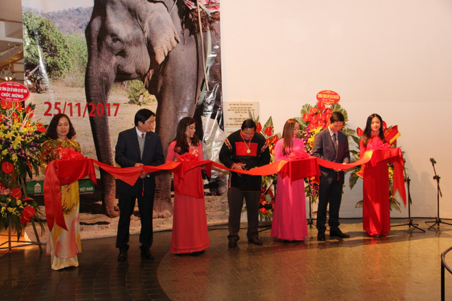 “西原大象”展亮相首都河内 ảnh 1 “西原大象”展亮相首都河内 ảnh 1