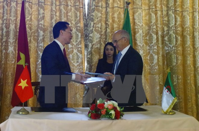 越阿政府间联合委员会第十一次会议达成多项新共识 ảnh 1