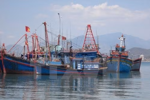 2017年茶荣省水产总产量达19.9万吨 ảnh 1