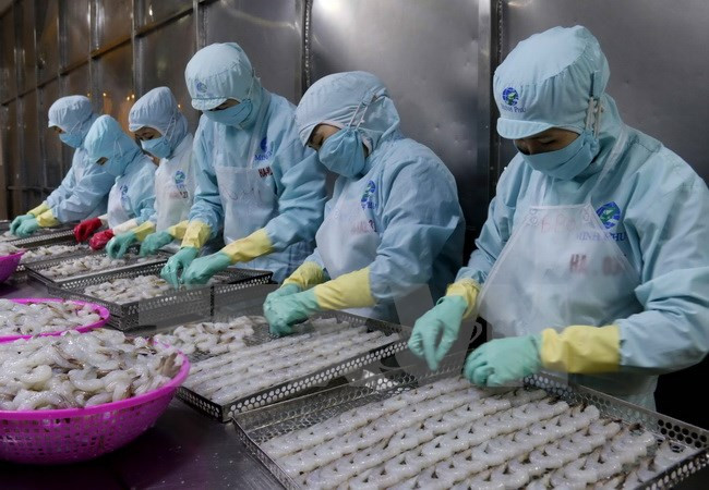 今年前10月越南鞋类出口总额同比增长13% ảnh 1