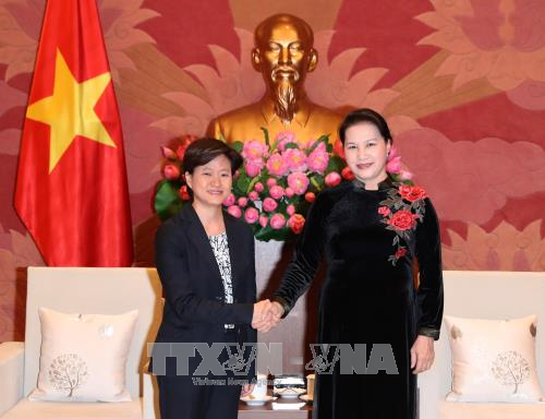 越南国会主席阮氏金银会见新加坡驻越大使凯瑟琳 ảnh 1 越南国会主席阮氏金银会见新加坡驻越大使凯瑟琳 ảnh 1