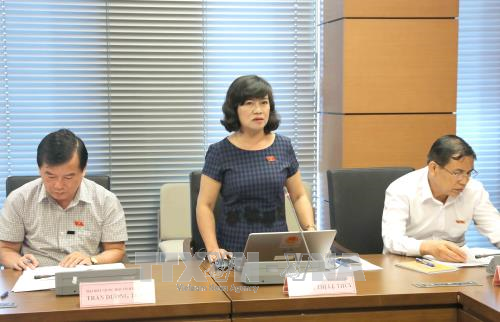 越南第十四届国会第四次会议：代表普遍认为急需颁布《网络安全法》 ảnh 2