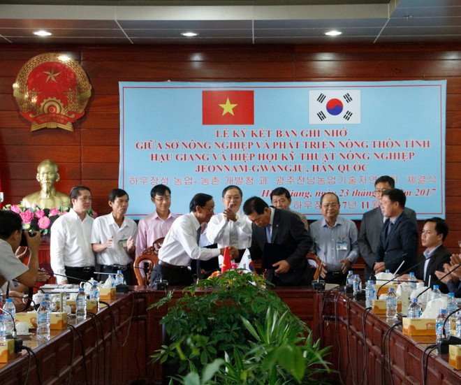 后江省与韩国全罗南道 -光州农业技术协会加强农业合作 ảnh 1 后江省与韩国全罗南道 -光州农业技术协会加强农业合作 ảnh 1