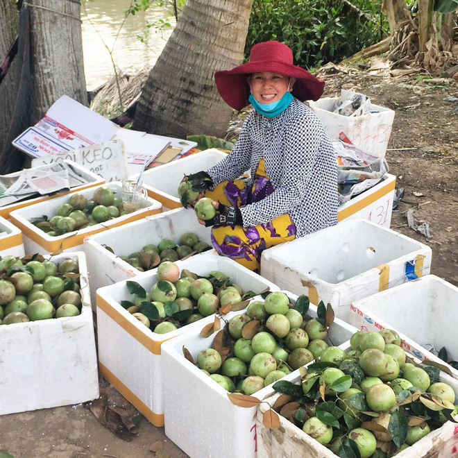 前江省寻找措施推动金星果对美国出口 ảnh 1