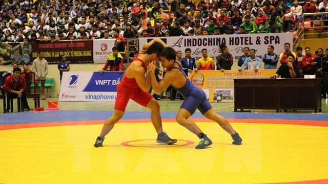 东南亚古典式自由式摔跤锦标赛:越南摔跤队获得绝对胜利 ảnh 1 东南亚古典式自由式摔跤锦标赛:越南摔跤队获得绝对胜利 ảnh 1