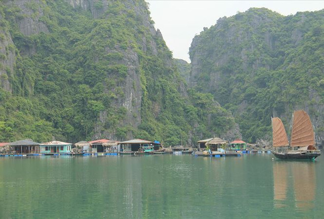 广宁省努力保护与弘扬下龙湾渔村特色的文化价值 ảnh 1 广宁省努力保护与弘扬下龙湾渔村特色的文化价值 ảnh 1