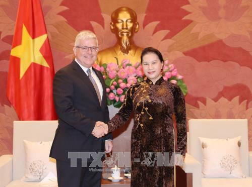 越南国会主席阮氏金银会见澳大利亚驻越大使克雷格•奇蒂克 ảnh 1 越南国会主席阮氏金银会见澳大利亚驻越大使克雷格•奇蒂克 ảnh 1
