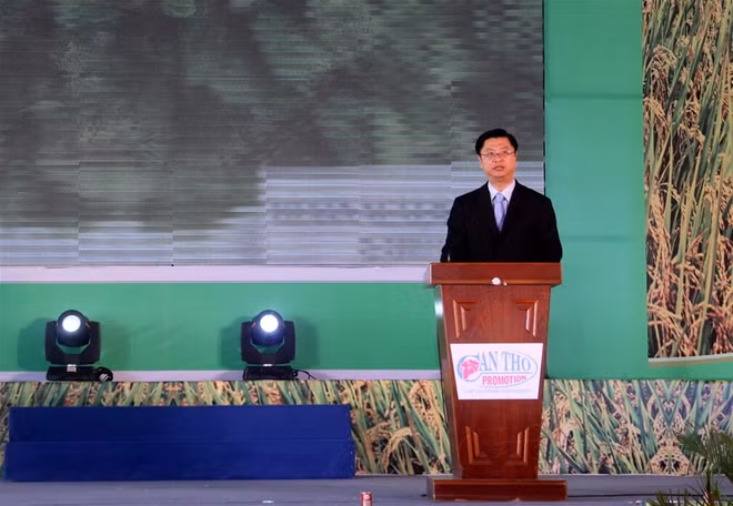 2017年越南国际农业展览会吸引300家单位和企业参展 ảnh 2