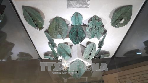 纪念越南文化遗产日系列活动在各地举行 ảnh 2 纪念越南文化遗产日系列活动在各地举行 ảnh 2