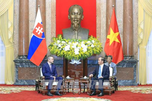 越南国家主席陈大光会见斯洛伐克副总理佩特尔·佩列格里尼 ảnh 1 越南国家主席陈大光会见斯洛伐克副总理佩特尔·佩列格里尼 ảnh 1