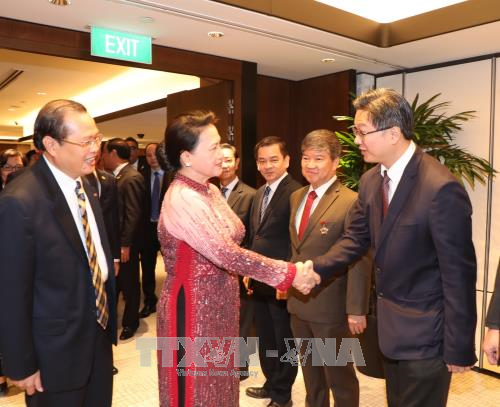 越南国会主席阮氏金银会见对越投资的新加坡企业代表 ảnh 1 越南国会主席阮氏金银会见对越投资的新加坡企业代表 ảnh 1