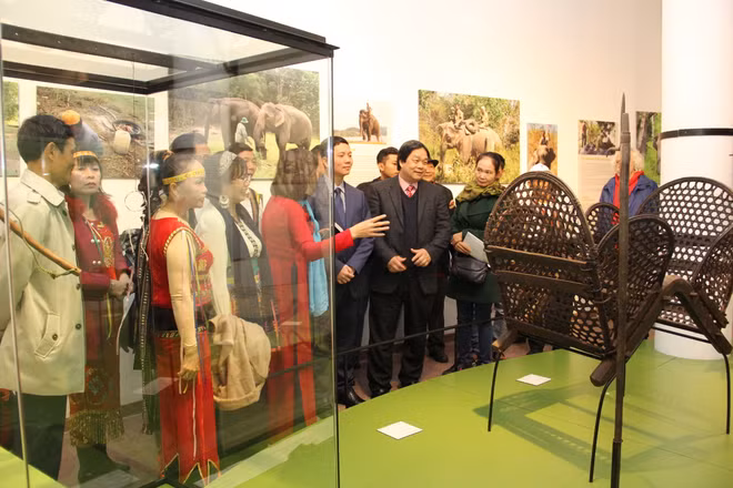  “西原大象”展亮相首都河内 ảnh 2