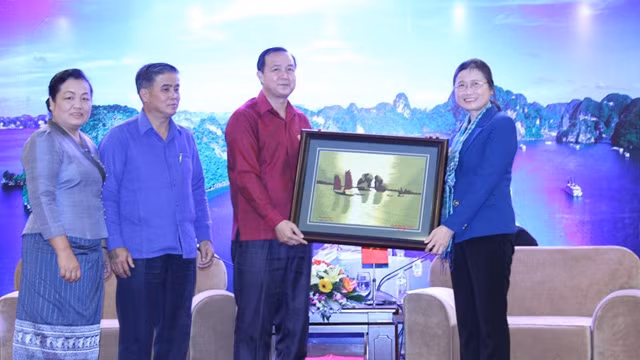 老挝三省青年代表团访问广宁省 ảnh 1