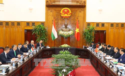 政府总理阮春福与匈牙利总理维克多•奥尔班举行会谈 ảnh 3