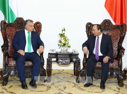 政府总理阮春福与匈牙利总理维克多•奥尔班举行会谈 ảnh 1