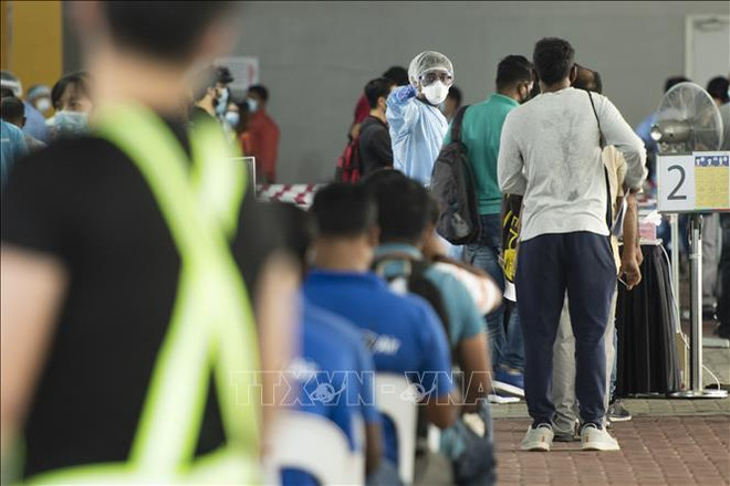 新加坡13岁儿童“感冒”须接受病毒检测 ảnh 1  新加坡13岁儿童“感冒”须接受病毒检测 ảnh 1