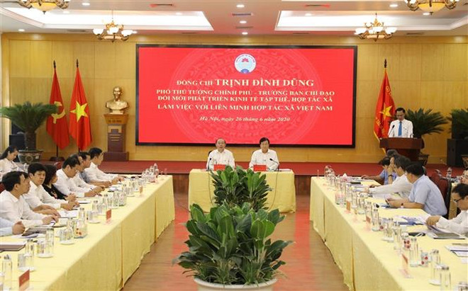 政府副总理郑廷勇：制定合理政策机制 助力合作社发展 ảnh 2