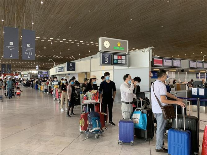 将280多名在欧洲越南公民接回国 ảnh 1 将280多名在欧洲越南公民接回国 ảnh 1