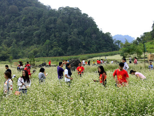 河内等全国多地集中刺激旅游 ảnh 2 河内等全国多地集中刺激旅游 ảnh 2