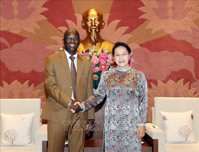 国会主席阮氏金银会见世界银行驻越代表处首席代表奥斯曼·迪奥 ảnh 1