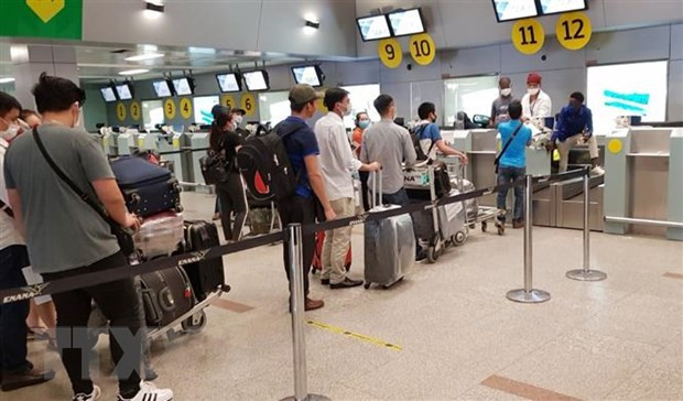 越南将343名公民从中国台湾安全接回国 ảnh 1 越南将343名公民从中国台湾安全接回国 ảnh 1