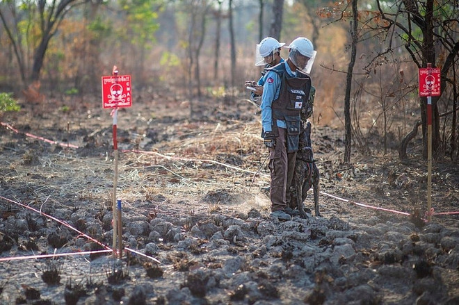 越南代表出席日内瓦国际人道主义排雷中心执行委员会会议 ảnh 1 越南代表出席日内瓦国际人道主义排雷中心执行委员会会议 ảnh 1