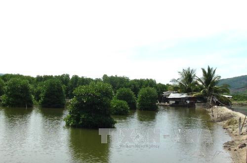 传播“绿色幸福” ảnh 1 传播“绿色幸福” ảnh 1