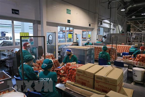 在俄越资企业在新冠肺炎疫情巨浪中站稳脚跟 ảnh 1