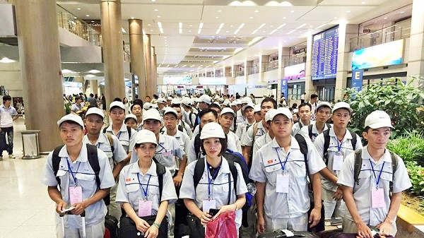 2019年前11月越南劳务输出超额完成既定计划 ảnh 1 2019年前11月越南劳务输出超额完成既定计划 ảnh 1