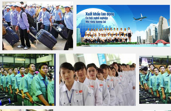 得乐省劳务输出工作成效显著 ảnh 1 得乐省劳务输出工作成效显著 ảnh 1