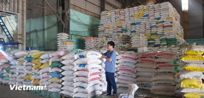 汇丰银行专家:越南农业成为全球农业的一大亮点 ảnh 2 汇丰银行专家:越南农业成为全球农业的一大亮点 ảnh 2