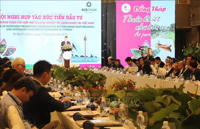 越南九龙江三角洲地区各省呼吁澳大利亚企业前来投资兴业 ảnh 1 越南九龙江三角洲地区各省呼吁澳大利亚企业前来投资兴业 ảnh 1