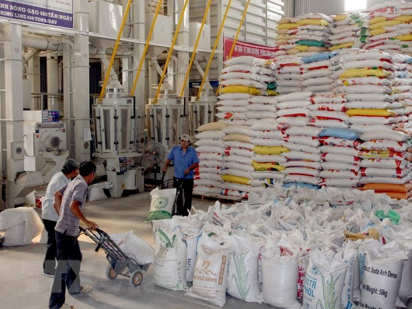 越南将首次承办世界大米会议 ảnh 1