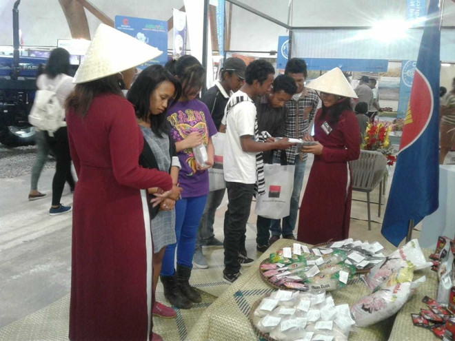 加大在莫桑比克和马达加斯加岛的越南产品推介力度 ảnh 1 加大在莫桑比克和马达加斯加岛的越南产品推介力度 ảnh 1