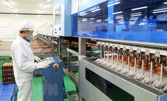 越南富寿省实现投资促进工作革新 加大招商引资力度 ảnh 1