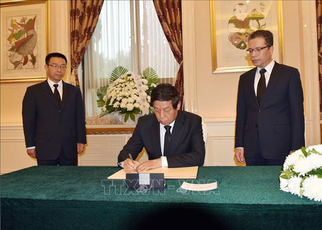 越南驻中国等国家使领馆为陈大光主席举行吊唁仪式 许多代表团前来吊唁 ảnh 1